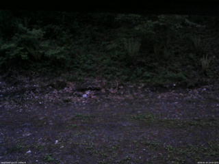 長野県菅平高原 ゆたか山荘 東側(坂下) 2026/05/20 19:00