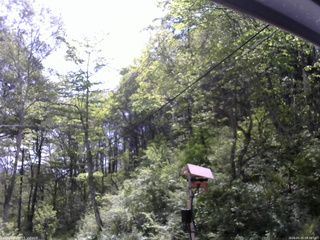 長野県菅平高原 ゆたか山荘 温度計 2026/05/20 09:30