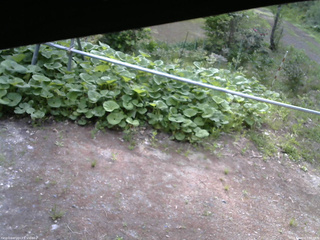 長野県菅平高原 ゆたか山荘 駐車場 2026/05/20 07:30