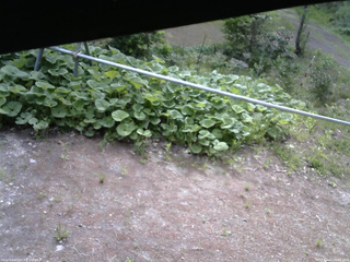 長野県菅平高原 ゆたか山荘 駐車場 2026/05/20 08:00