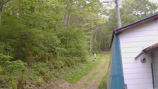 長野県菅平高原 ゆたか山荘 ゆたか山荘 2026/05/20 15:00