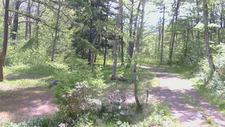 長野県菅平高原 ゆたか山荘 坂上 2026/05/20 09:15