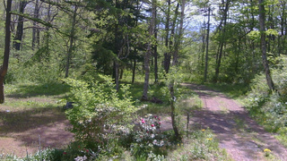 長野県菅平高原 ゆたか山荘 坂上 2026/05/20 09:30