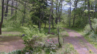 長野県菅平高原 ゆたか山荘 坂上 2026/05/20 09:45