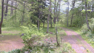長野県菅平高原 ゆたか山荘 坂上 2026/05/20 10:00