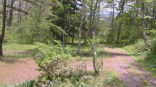 長野県菅平高原 ゆたか山荘 坂上 2026/05/20 11:30
