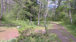 長野県菅平高原 ゆたか山荘 坂上 2026/05/20 13:45