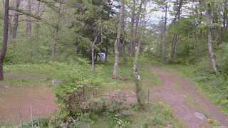 長野県菅平高原 ゆたか山荘 坂上 2026/05/20 15:00