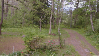 長野県菅平高原 ゆたか山荘 坂上 2026/05/20 15:45