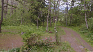 長野県菅平高原 ゆたか山荘 坂上 2026/05/20 16:00