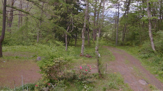 長野県菅平高原 ゆたか山荘 坂上 2026/05/20 16:15