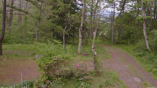 長野県菅平高原 ゆたか山荘 坂上 2026/05/20 16:30