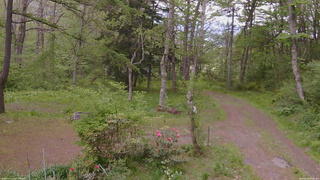 長野県菅平高原 ゆたか山荘 坂上 2026/05/20 17:00