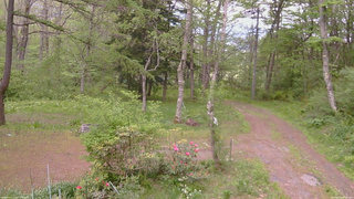 長野県菅平高原 ゆたか山荘 坂上 2026/05/20 17:15