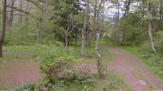 長野県菅平高原 ゆたか山荘 坂上 2026/05/20 17:30