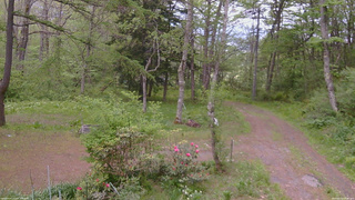 長野県菅平高原 ゆたか山荘 坂上 2026/05/20 18:00