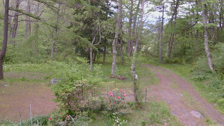 長野県菅平高原 ゆたか山荘 坂上 2026/05/20 18:15