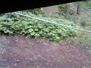 長野県菅平高原 ゆたか山荘 駐車場 2026/05/21 14:45