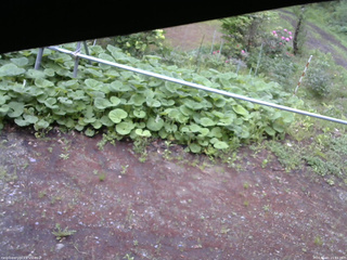 長野県菅平高原 ゆたか山荘 駐車場 2026/05/21 15:15
