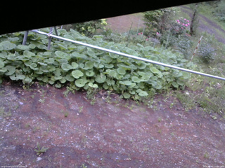 長野県菅平高原 ゆたか山荘 駐車場 2026/05/21 18:30