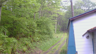 長野県菅平高原 ゆたか山荘 ゆたか山荘 2026/05/21 06:30