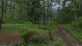 長野県菅平高原 ゆたか山荘 坂上 2026/05/21 05:00