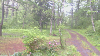 長野県菅平高原 ゆたか山荘 坂上 2026/05/21 05:45