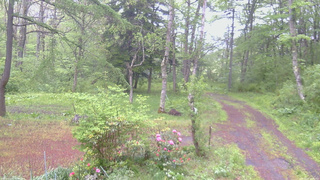 長野県菅平高原 ゆたか山荘 坂上 2026/05/21 06:00