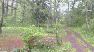 長野県菅平高原 ゆたか山荘 坂上 2026/05/21 06:15