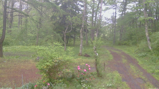 長野県菅平高原 ゆたか山荘 坂上 2026/05/21 07:00