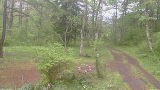 長野県菅平高原 ゆたか山荘 坂上 2026/05/21 07:15