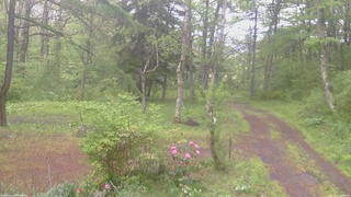 長野県菅平高原 ゆたか山荘 坂上 2026/05/21 07:30