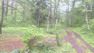 長野県菅平高原 ゆたか山荘 坂上 2026/05/21 07:45