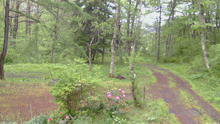 長野県菅平高原 ゆたか山荘 坂上 2026/05/21 09:00