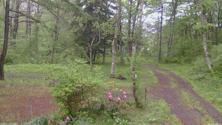長野県菅平高原 ゆたか山荘 坂上 2026/05/21 09:30