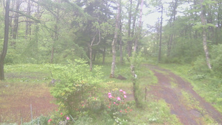 長野県菅平高原 ゆたか山荘 坂上 2026/05/21 09:45