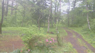 長野県菅平高原 ゆたか山荘 坂上 2026/05/21 10:00