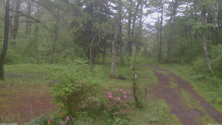 長野県菅平高原 ゆたか山荘 坂上 2026/05/21 10:15
