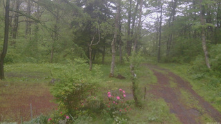 長野県菅平高原 ゆたか山荘 坂上 2026/05/21 10:30