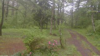 長野県菅平高原 ゆたか山荘 坂上 2026/05/21 10:45