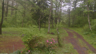 長野県菅平高原 ゆたか山荘 坂上 2026/05/21 11:30