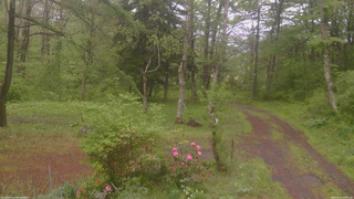 長野県菅平高原 ゆたか山荘 坂上 2026/05/21 11:45