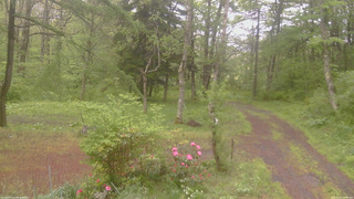長野県菅平高原 ゆたか山荘 坂上 2026/05/21 12:00