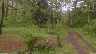 長野県菅平高原 ゆたか山荘 坂上 2026/05/21 12:15