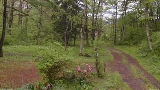 長野県菅平高原 ゆたか山荘 坂上 2026/05/21 12:30