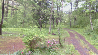 長野県菅平高原 ゆたか山荘 坂上 2026/05/21 13:00