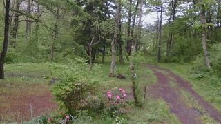 長野県菅平高原 ゆたか山荘 坂上 2026/05/21 13:15