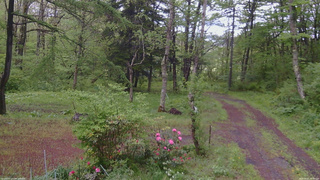 長野県菅平高原 ゆたか山荘 坂上 2026/05/21 13:30