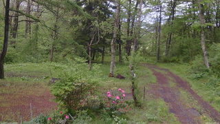 長野県菅平高原 ゆたか山荘 坂上 2026/05/21 13:45