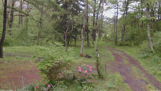 長野県菅平高原 ゆたか山荘 坂上 2026/05/21 14:00